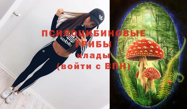 СК Алексин