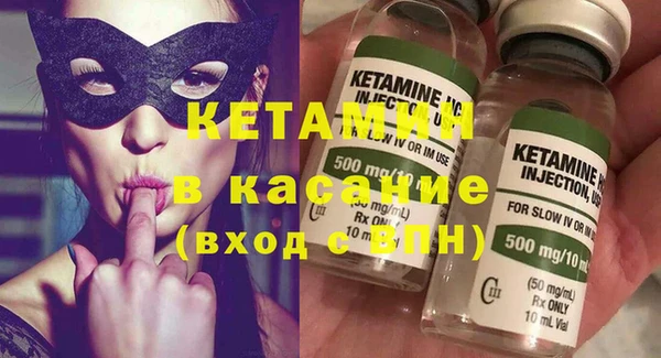 сатива Аркадак