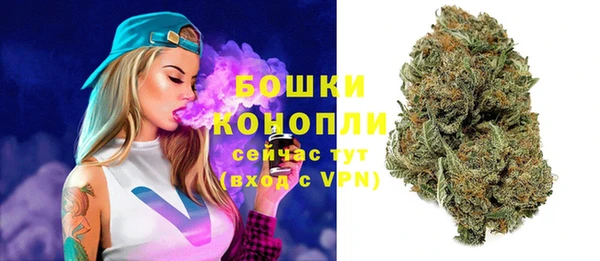 сатива Аркадак