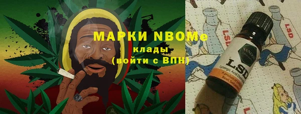 СК Алексин