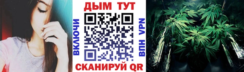 Марихуана Amnesia купить цена Лаишево